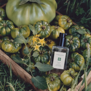 【JO MALONE】Tomato Leaf Hand Wash 綠蕃茄葉手部清潔露 250ml